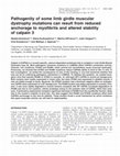 Research paper thumbnail of Pathogenity of some limb girdle muscular dystrophy mutations can result from reduced anchorage to myofibrils and altered stability of calpain 3