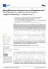 Research paper thumbnail of Energy Metabolism and Hyperactivation of Spermatozoa from Three Mouse Species under Capacitating Conditions