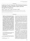 Research paper thumbnail of Lophirones B and C Extenuate AFB 1 -Mediated Oxidative Onslaught on Cellular Proteins, Lipids, and DNA through Nrf-2 Expression