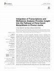 Research paper thumbnail of Regards croisés sur les paysages du maïs au Mexique