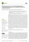 Research paper thumbnail of Tetraselmis jejuensis sp. nov. (Chlorodendrophyceae), a Euryhaline Microalga Found in Supralittoral Tide Pools at Jeju Island, Korea