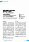 Research paper thumbnail of Entre a Yeomanry tropical e os Trobriandenses coloniais: origens e debates da historiografia sobre a formação do Brasil