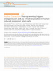 Research paper thumbnail of Author Correction: Reprogramming triggers endogenous L1 and Alu retrotransposition in human induced pluripotent stem cells