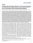 Research paper thumbnail of Coibamide A Targets Sec61 to Prevent Biogenesis of Secretory and Membrane Proteins