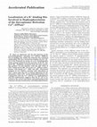 Research paper thumbnail of Localization of a K+-binding Site Involved in Dephosphorylation of the Sarcoplasmic Reticulum Ca2+-ATPase