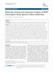 Research paper thumbnail of Molecular cloning and expression analysis of a WRKY transcription factor in sugarcane