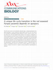 Research paper thumbnail of A unique life cycle transition in the red seaweed Pyropia yezoensis depends on apospory