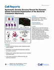 Research paper thumbnail of Systematic Genetic Screens Reveal the Dynamic Global Functional Organization of the Bacterial Translation Machinery