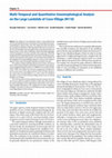 Research paper thumbnail of Multi-Temporal and Quantitative Geomorphological Analysis on the Large Landslide of Craco Village (M118)