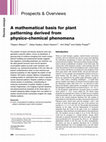 Research paper thumbnail of A mathematical basis for plant patterning derived from physico-chemical phenomena