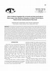 Research paper thumbnail of Effect of Different Vegetable Oils on Growth and Fatty Acid Profile of Rohu (Labeo rohita, Hamilton); Evaluation of a Return Fish Oil Diet to Restore Human Cardio-protective Fatty Acids