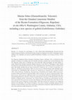 Research paper thumbnail of Marine fishes (Elasmobranchii, Teleostei) from the Glendon Limestone Member of the Byram Formation (Oligocene, Rupelian) at site AWa-9, Washington County, Alabama, USA, including a new species of gobiid (Gobiiformes: Gobiidae)