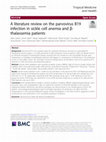 Research paper thumbnail of A literature review on the parvovirus B19 infection in sickle cell anemia and β-thalassemia patients