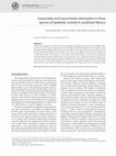 Research paper thumbnail of Seasonality and mycorrhizal colonization in three species of epiphytic orchids in southeast Mexico