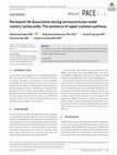 Research paper thumbnail of Persistent VA dissociation during atrioventricular nodal reentry tachycardia: The existence of upper common pathway