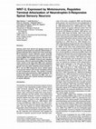 Research paper thumbnail of WNT-3, Expressed by Motoneurons, Regulates Terminal Arborization of Neurotrophin-3-Responsive Spinal Sensory Neurons