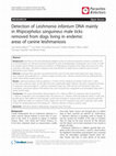 Research paper thumbnail of Detection of Leishmania infantum DNA mainly in Rhipicephalus sanguineus male ticks removed from dogs living in endemic areas of canine leishmaniosis