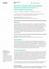 Research paper thumbnail of Secondary Immune Thrombocytopenic Purpura in Renal Cell Cancer: A Paraneoplastic Syndrome