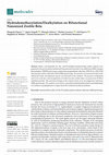 Research paper thumbnail of Hydrodemethoxylation/Dealkylation on Bifunctional Nanosized Zeolite Beta