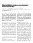 Research paper thumbnail of NMDA and AMPA Antagonist Infusions into the Ventral Striatum Impair Different Steps of Spatial Information Processing in a Nonassociative Task in Mice