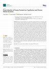 Research paper thumbnail of Foam Quality of Foams Formed on Capillaries and Porous Media Systems