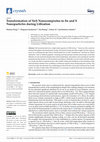 Research paper thumbnail of Transformation of SnS Nanocompisites to Sn and S Nanoparticles during Lithiation