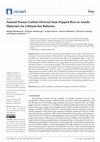 Research paper thumbnail of Natural Porous Carbon Derived from Popped Rice as Anode Materials for Lithium-Ion Batteries