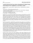 Research paper thumbnail of Analytical Electron Microscopy Study of SiSn/(Reduced Graphene Oxide) Nanocomposite Powder Applicable to Li-Ion Battery Anodes