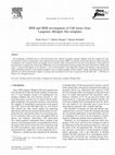 Research paper thumbnail of SFM and SEM investigation of CdS layers from Langmuir–Blodgett film templates