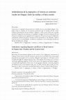 Research paper thumbnail of Ambivalencias de la migración y el retorno en contextos rurales de Chiapas: Entre las multas y el bien común