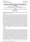 Research paper thumbnail of Microscopy Investigation of Platinum Ternary Alloy Catalysts on N-Doped Reduced Graphene Oxide Supporter for Direct Ethanol Fuel Cell (DEFC)