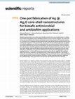 Research paper thumbnail of One-pot fabrication of Ag @Ag2O core–shell nanostructures for biosafe antimicrobial and antibiofilm applications