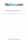 Research paper thumbnail of TDR Evaluador expediente tecnico