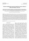 Research paper thumbnail of Molecular identification of bacteria isolated from culture medium of rotifer fed on fishery waste diet