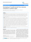 Research paper thumbnail of BMC Veterinary Research | Full text | Genotyping of Coxiella