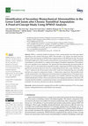 Research paper thumbnail of Identification of Secondary Biomechanical Abnormalities in the Lower Limb Joints after Chronic Transtibial Amputation: A Proof-of-Concept Study Using SPM1D Analysis