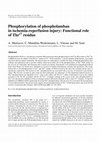 Research paper thumbnail of Phosphorylation of phospholamban in ischemia-reperfusion injury: Functional role of Thr17residue