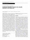 Research paper thumbnail of β2-Adrenergic stimulation is involved in the contractile dysfunction of the stunned heart