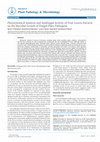 Research paper thumbnail of Phytochemical Analysis and Antifungal Activity of Fruit Leaves Extracts on the Mycelial Growth of Fungal Plant Pathogens