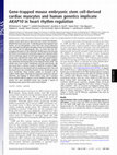 Research paper thumbnail of Gene-trapped mouse embryonic stem cell-derived cardiac myocytes and human genetics implicate AKAP10 in heart rhythm regulation