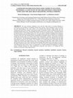 Research paper thumbnail of Landslide Hazard Zonation Using Expert Evaluation Technique: A Case Study of the Area Between Gohatsion Town and The Abay (Blue Nile) River, Central Ethiopia