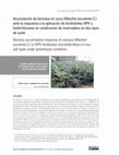 Research paper thumbnail of Acumulación de biomasa en yuca (Manihot esculenta C.) ante la respuesta a la aplicación de fertilizantes NPK y biofertilizantes en condiciones de invernadero en dos tipos de suelo