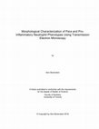 Research paper thumbnail of Morphological characterization of para- and proinflammatory neutrophil phenotypes using transmission electron microscopy