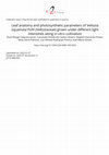 Research paper thumbnail of Leaf anatomy and photosynthetic parameters of Vellozia squamata Pohl (Velloziaceae) grown under different light intensities along in vitro cultivation