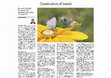 Research paper thumbnail of Conservation of Insects