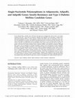 Research paper thumbnail of Single-Nucleotide Polymorphisms in Adiponectin, AdipoR1, and AdipoR2 Genes