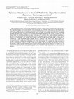 Research paper thumbnail of Xylanase Attachment to the Cell Wall of the Hyperthermophilic Bacterium Thermotoga maritima