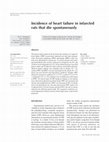 Research paper thumbnail of Incidence of heart failure in infarcted rats that die spontaneously