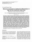 Research paper thumbnail of A transgene for high methionine protein is posttranscriptionally regulated by methionine