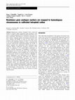 Research paper thumbnail of Resistance gene analogue markers are mapped to homeologous chromosomes in cultivated tetraploid cotton